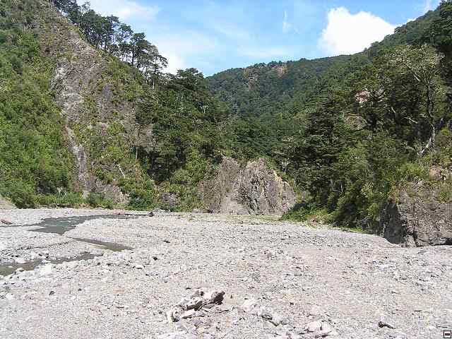 NZ leden-unor 2006 240.jpg